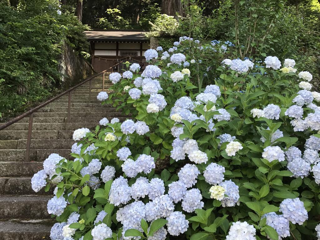 Takayama Ninja House Hotel Eksteriør billede